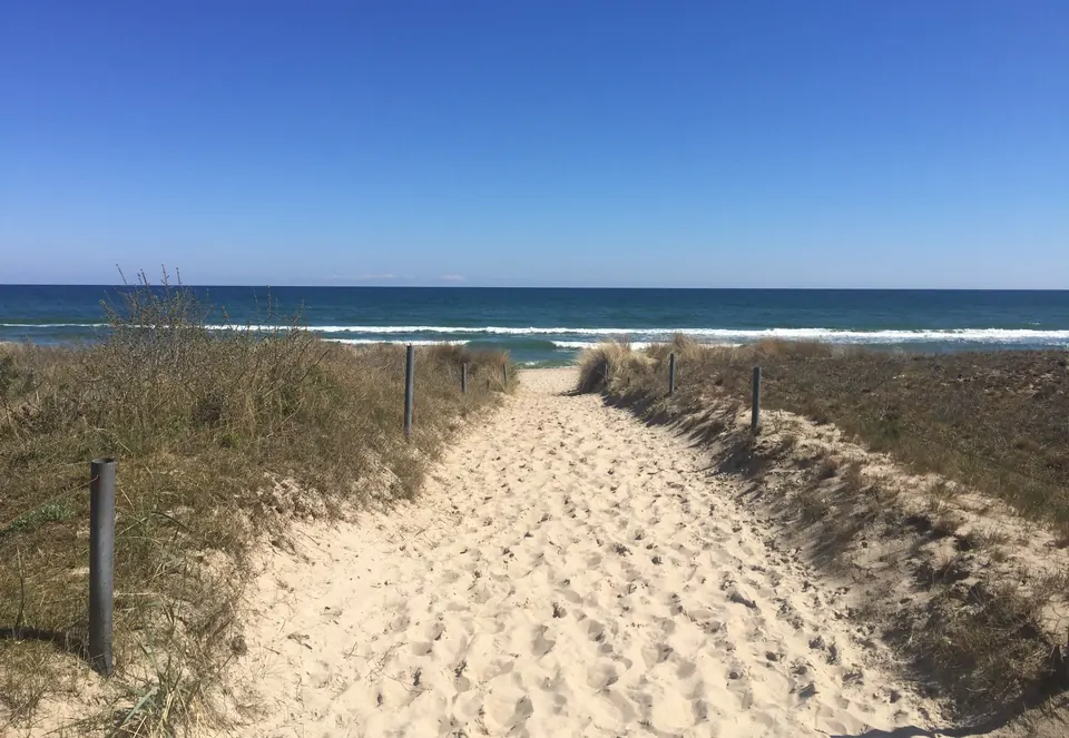 Sandiger Dünenweg hinunter zur Ostsee